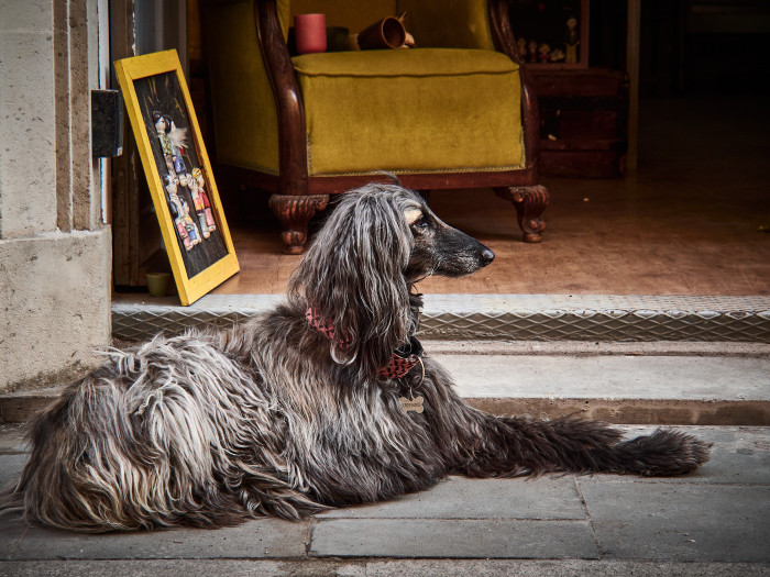 07-Pc20-2021-09-27 17.58.13